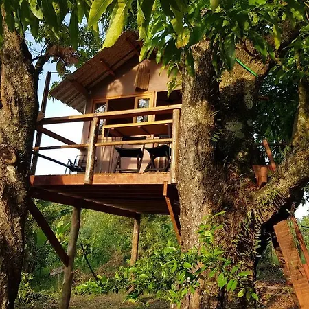 Ecofazenda Lodge Bofete Room photo