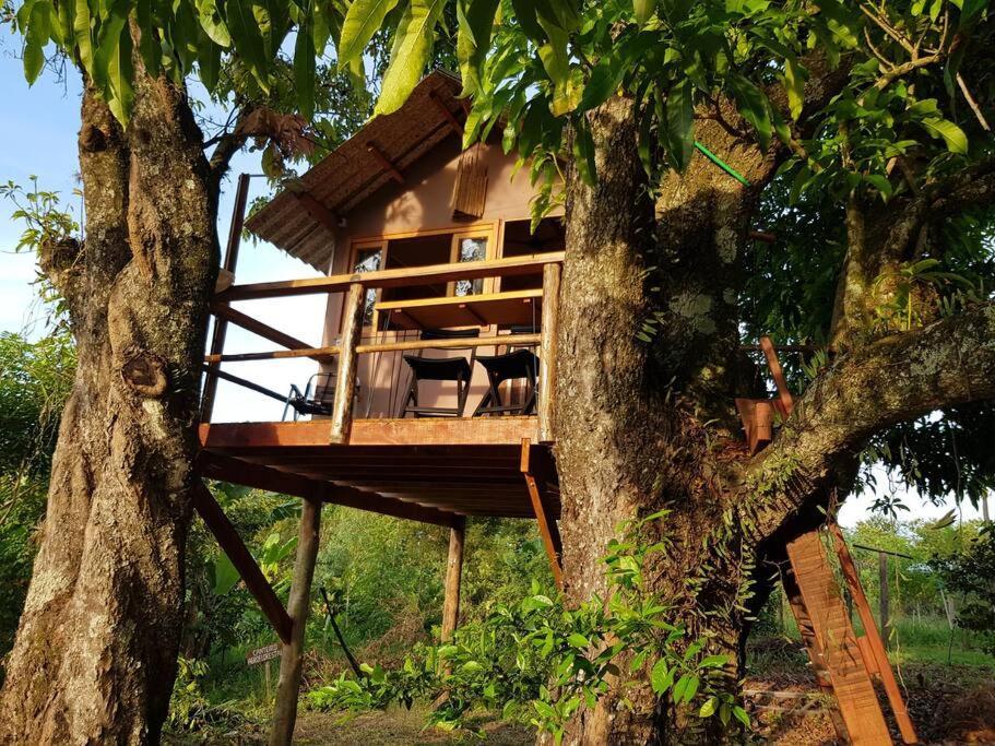 Holiday home Ecofazenda *
