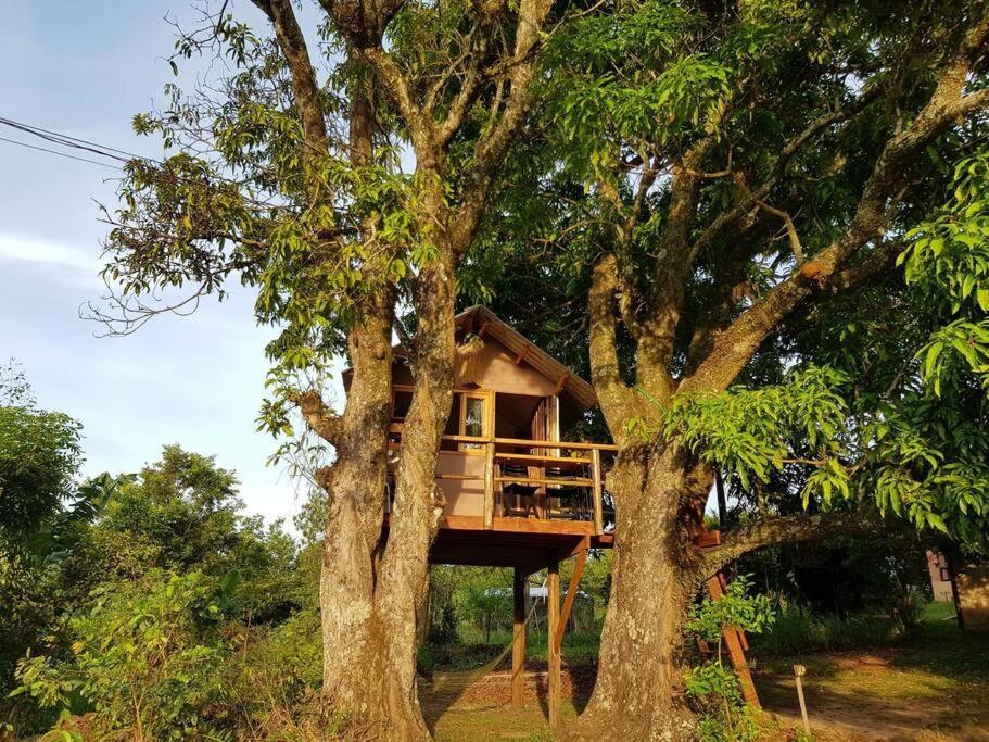 Ecofazenda Holiday home Bofete